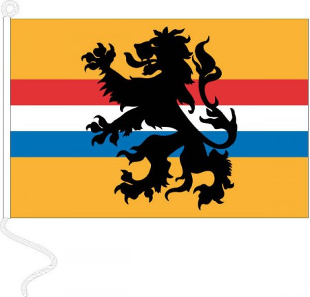 the netherlands soccer team flag